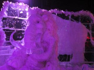 IMG_0043.JPG