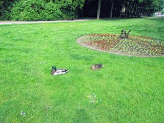 IMG_2503.JPG