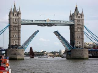 IMG_7996.JPG
