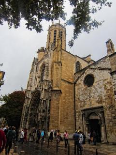 IMG_9251.JPG