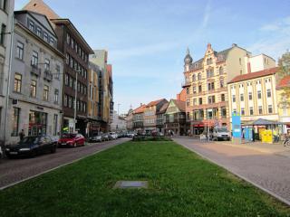 IMG_7059.JPG