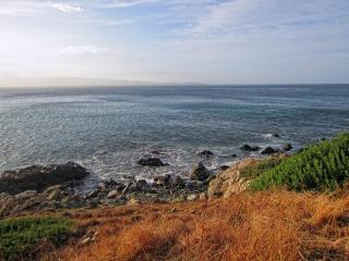 IMG_9539.JPG
