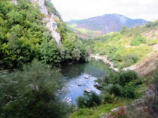 IMG_2705.JPG
