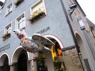 IMG_1891.JPG