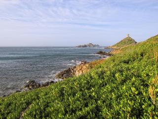 IMG_9540.JPG