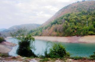 IMG_2719a.JPG