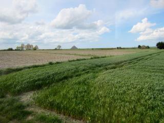 IMG_4714.JPG