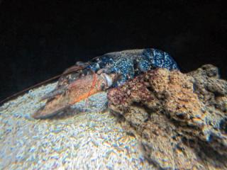 IMG_8507.JPG