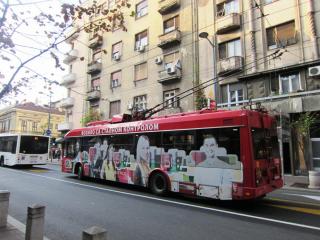 IMG_2837.JPG