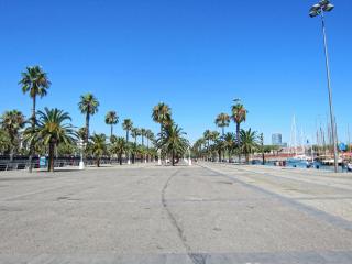 IMG_8431.JPG