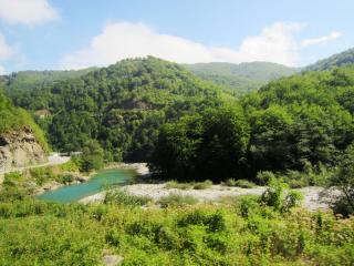 IMG_2610.JPG