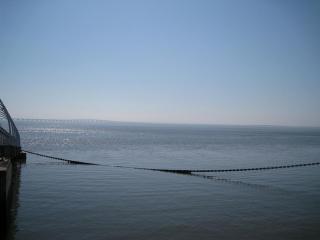 IMG_5435.JPG