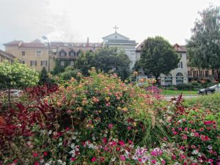 IMG_9184.JPG
