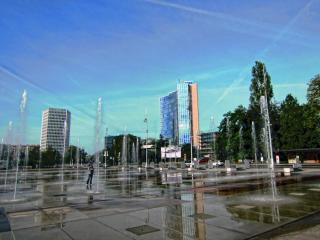 IMG_8996.JPG