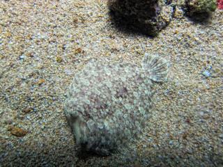 IMG_8505.JPG