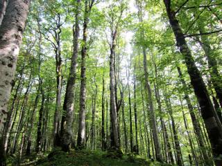 IMG_2648.JPG