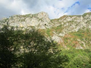 IMG_2686.JPG
