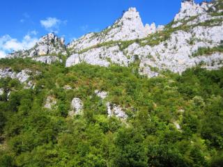 IMG_2679.JPG
