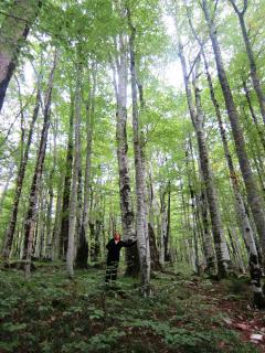 IMG_2623.JPG
