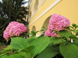 IMG_2909.JPG