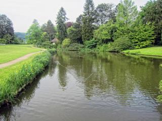 IMG_2528.JPG