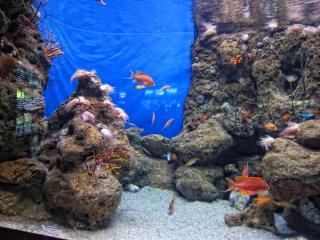 IMG_8447.JPG