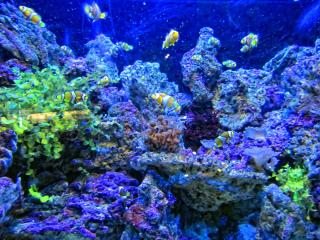IMG_8502.JPG