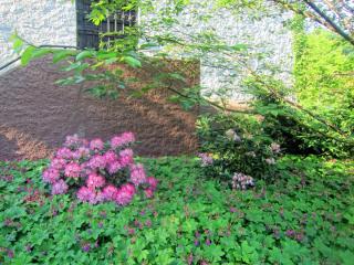 IMG_2286.JPG