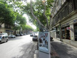 IMG_5849.JPG