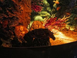 IMG_8454.JPG