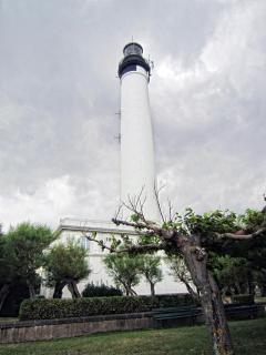 IMG_7964.JPG