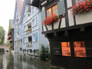 IMG_1919.JPG