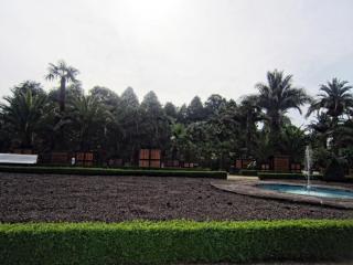 IMG_2560.JPG