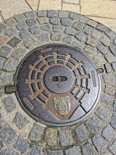IMG_7928.JPG