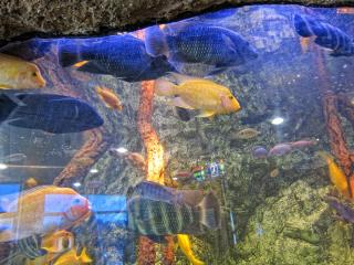 IMG_8491.JPG