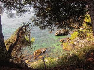 IMG_8839.JPG