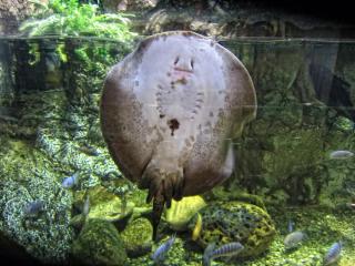 IMG_8488.JPG