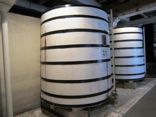 IMG_5195.JPG