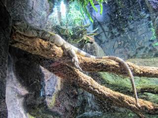 IMG_8490.JPG