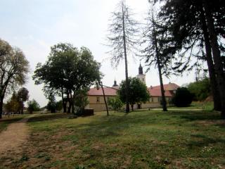 IMG_2943.JPG