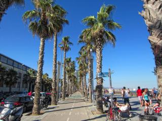 IMG_8520.JPG