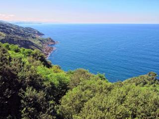 IMG_8247.JPG