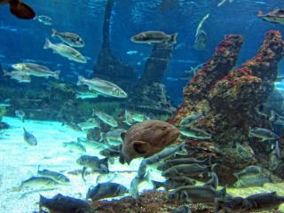 IMG_8462.JPG