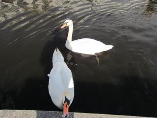 IMG_1251.JPG