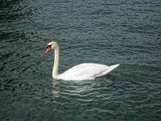 IMG_9196.JPG