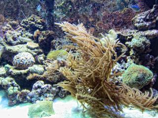 IMG_8455.JPG