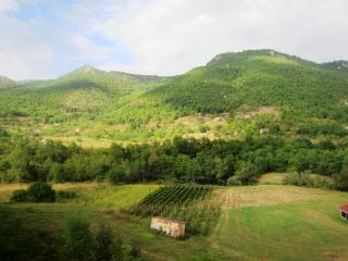 IMG_2711.JPG