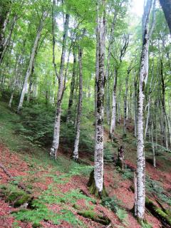 IMG_2633.JPG