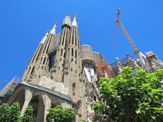 IMG_8414.JPG