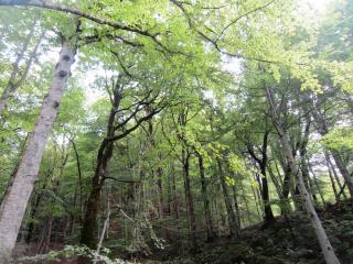 IMG_2637.JPG